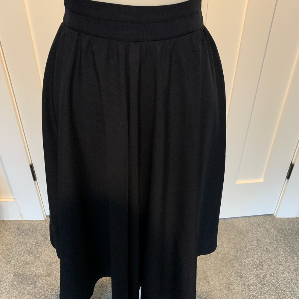 Zara high waisted circle navy skirt